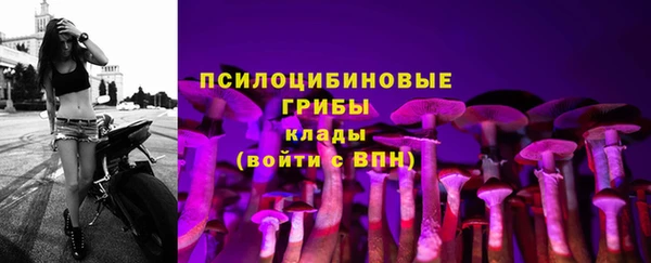 кокаин колумбия Иннополис